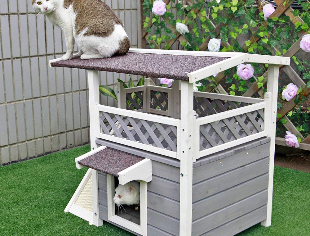 kedi evi kedievi