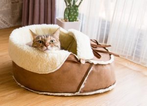 kedi malzemeleri Kedi Yatağı