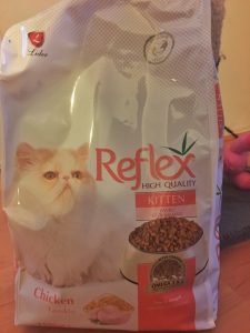 kedi maması kedi maması