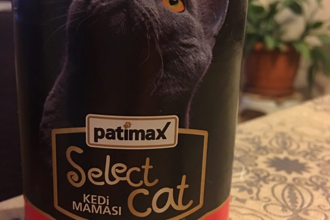 kedi maması kedi maması seçimi