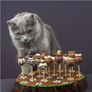 kedilerde çikolata kedi ve çikolata