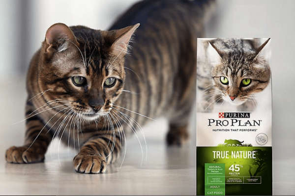 proplan kedi maması
