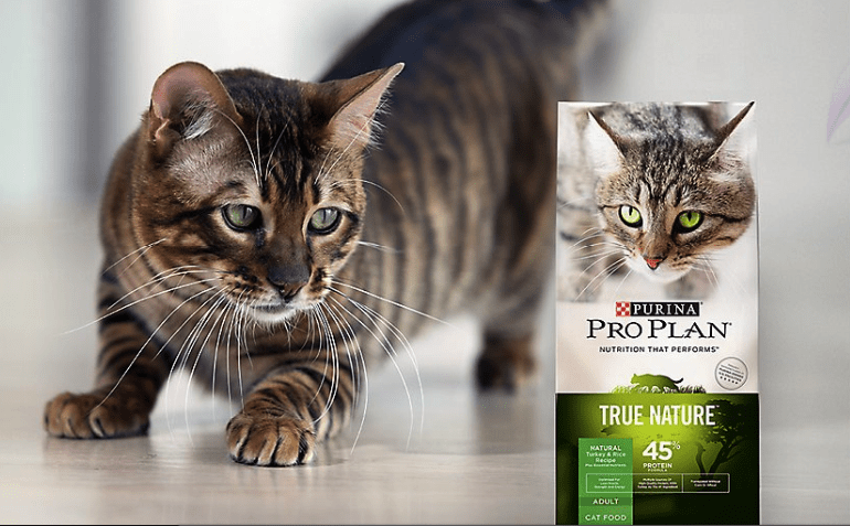 Proplan Kedi Maması Fiyatları proplan kedi maması