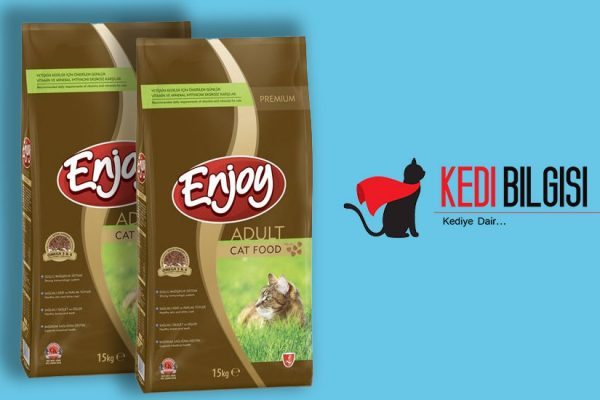 enjoy-kedi-mamasi