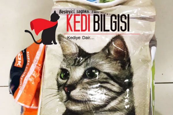 micho kedi maması